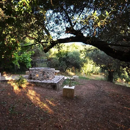 In Guest - Traditional For Relaxation And Rejuvenation Affittacamere