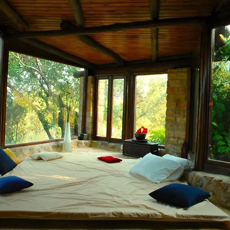 In Guest - Traditional For Relaxation And Rejuvenation *